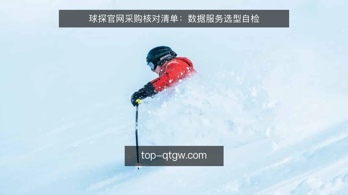 球探官网采购核对清单:数据服务选型自检